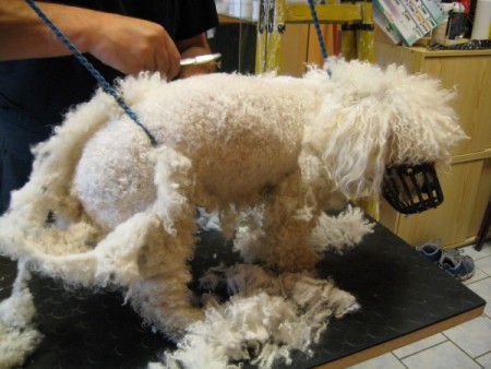 no, jinak to opravdu nešlo...